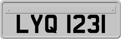 LYQ1231