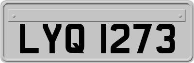 LYQ1273