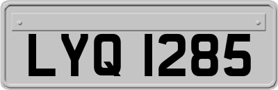 LYQ1285