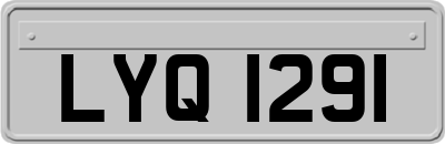 LYQ1291
