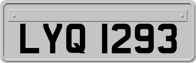 LYQ1293