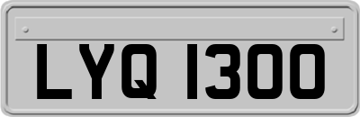 LYQ1300