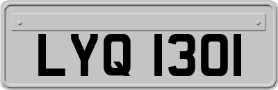 LYQ1301