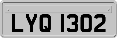 LYQ1302
