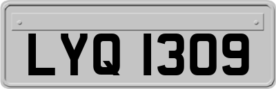 LYQ1309