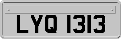 LYQ1313