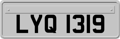 LYQ1319