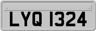 LYQ1324