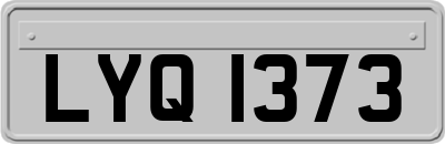 LYQ1373