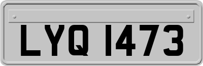 LYQ1473