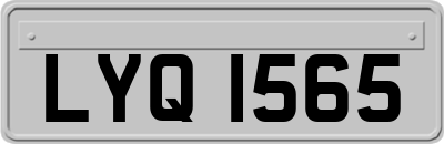 LYQ1565