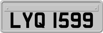 LYQ1599