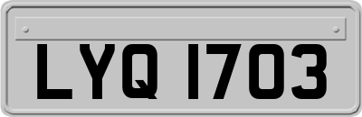 LYQ1703