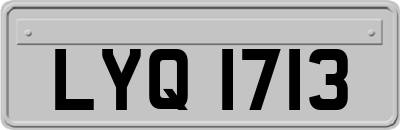 LYQ1713