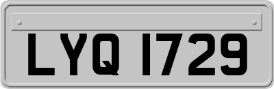LYQ1729
