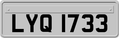 LYQ1733