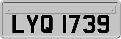 LYQ1739