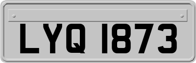 LYQ1873