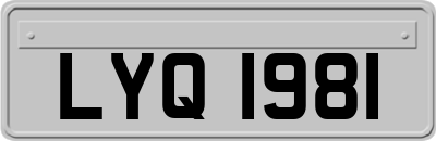 LYQ1981