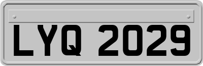 LYQ2029
