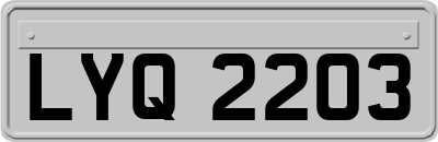 LYQ2203