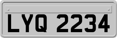 LYQ2234