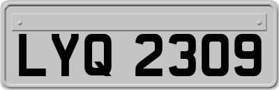 LYQ2309