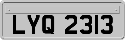 LYQ2313