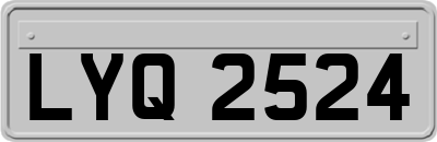 LYQ2524