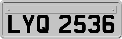 LYQ2536