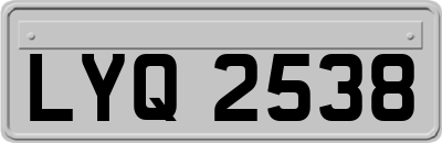 LYQ2538