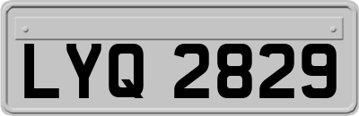 LYQ2829