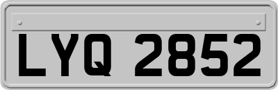 LYQ2852