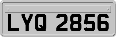 LYQ2856