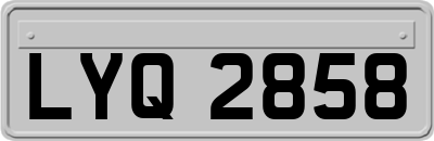 LYQ2858