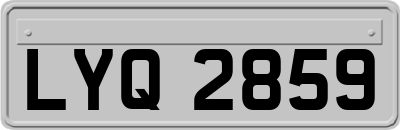 LYQ2859