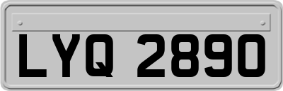 LYQ2890