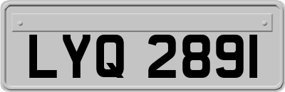 LYQ2891
