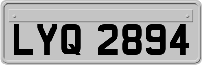 LYQ2894