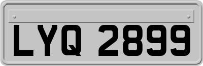 LYQ2899