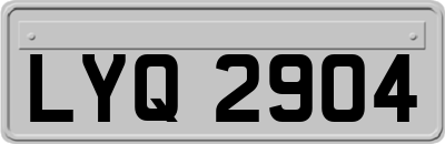 LYQ2904