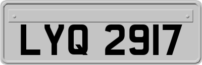 LYQ2917