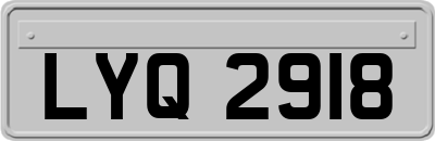 LYQ2918