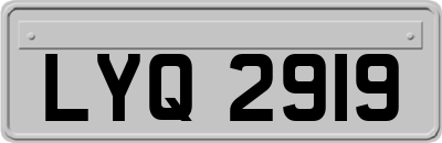 LYQ2919