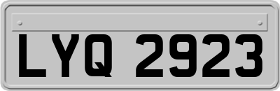 LYQ2923