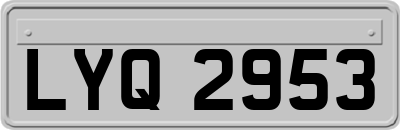 LYQ2953
