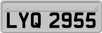 LYQ2955