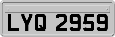 LYQ2959