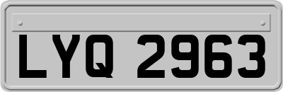 LYQ2963