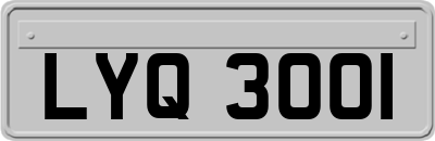 LYQ3001